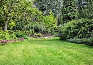 Optimiser l'expérience du jardin à Bailly-en-Riviere